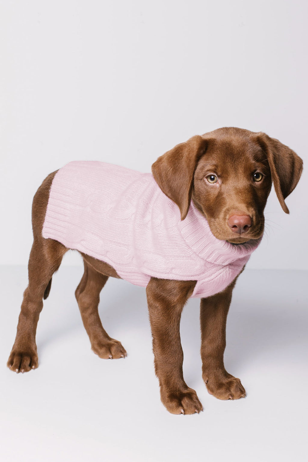CABLE DOG SWEATER